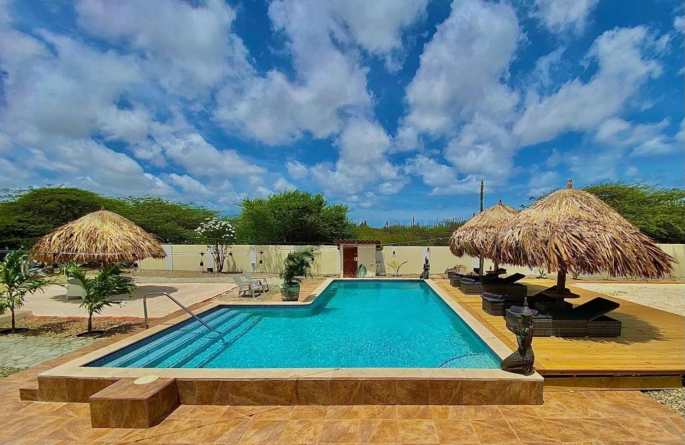 Pura Vida Aruba Appartement Palma Noord Extérieur photo