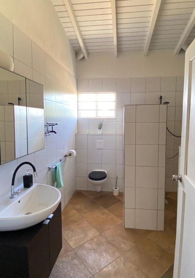 Pura Vida Aruba Appartement Palma Noord Extérieur photo
