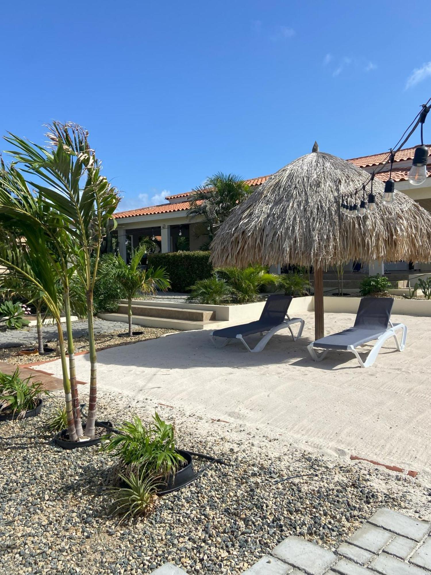 Pura Vida Aruba Appartement Palma Noord Extérieur photo