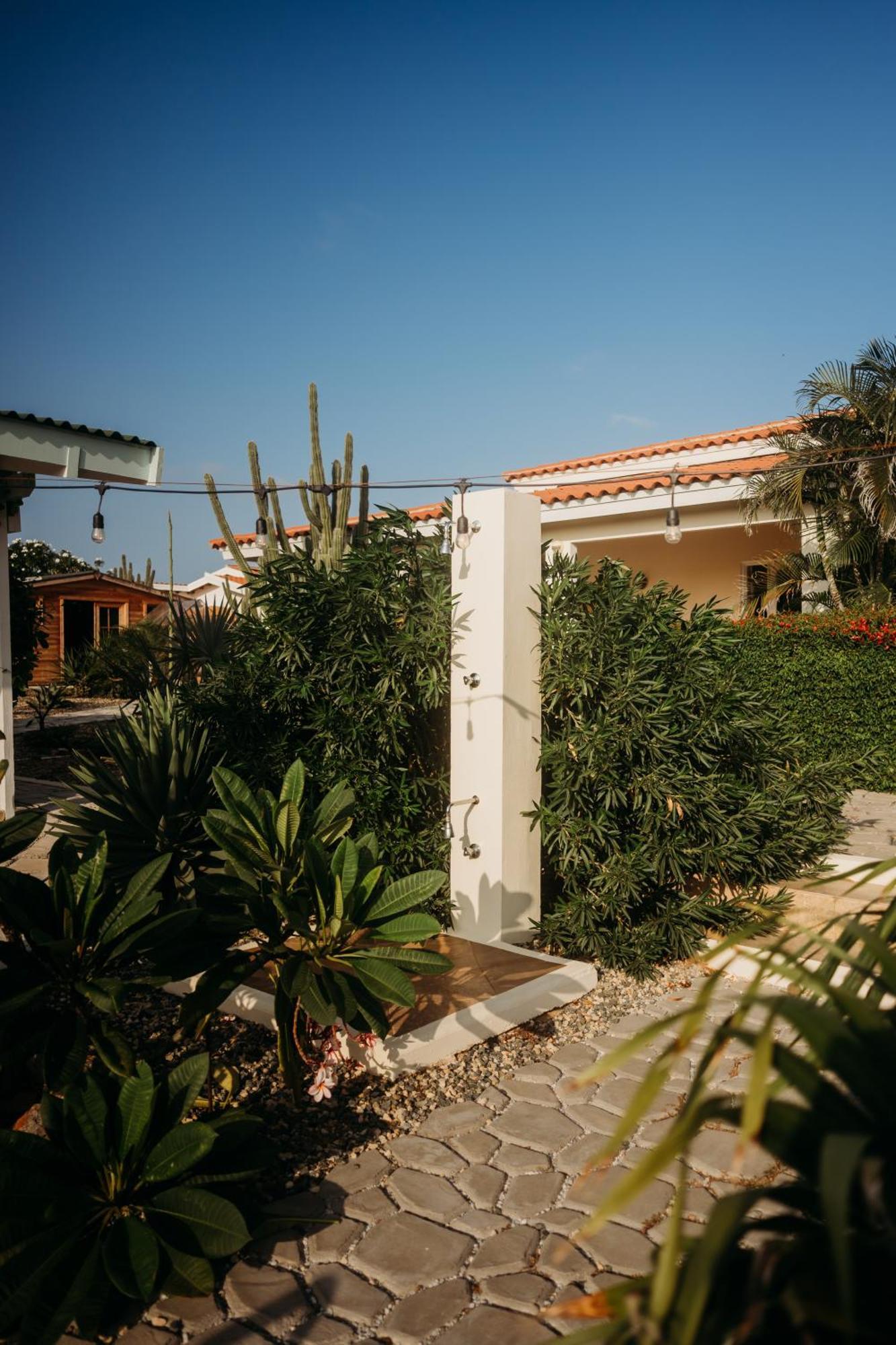 Pura Vida Aruba Appartement Palma Noord Extérieur photo
