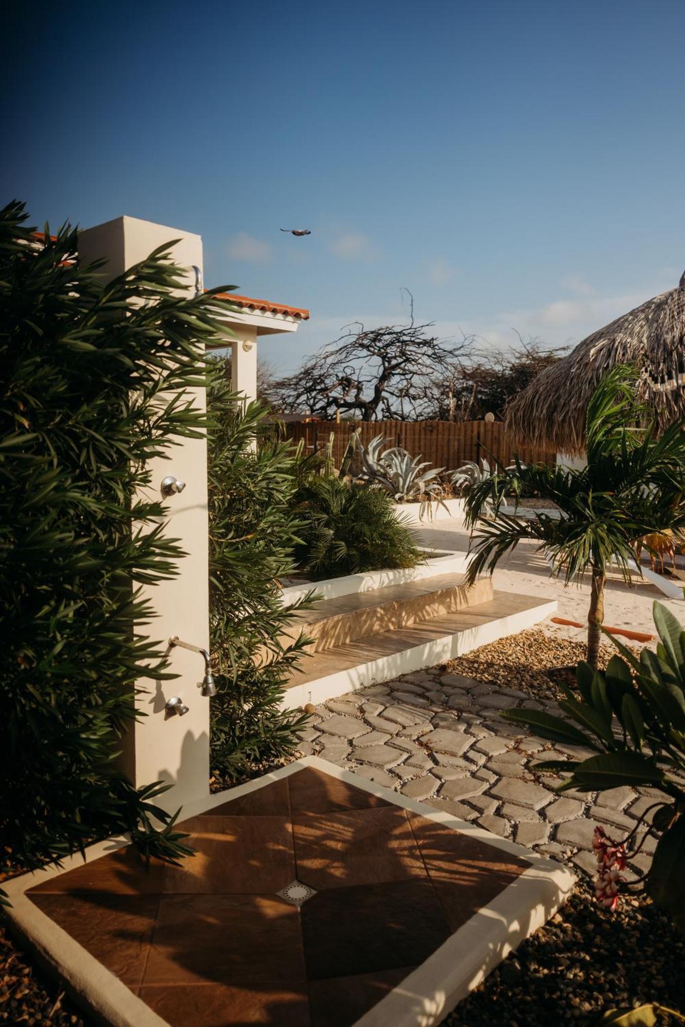 Pura Vida Aruba Appartement Palma Noord Extérieur photo