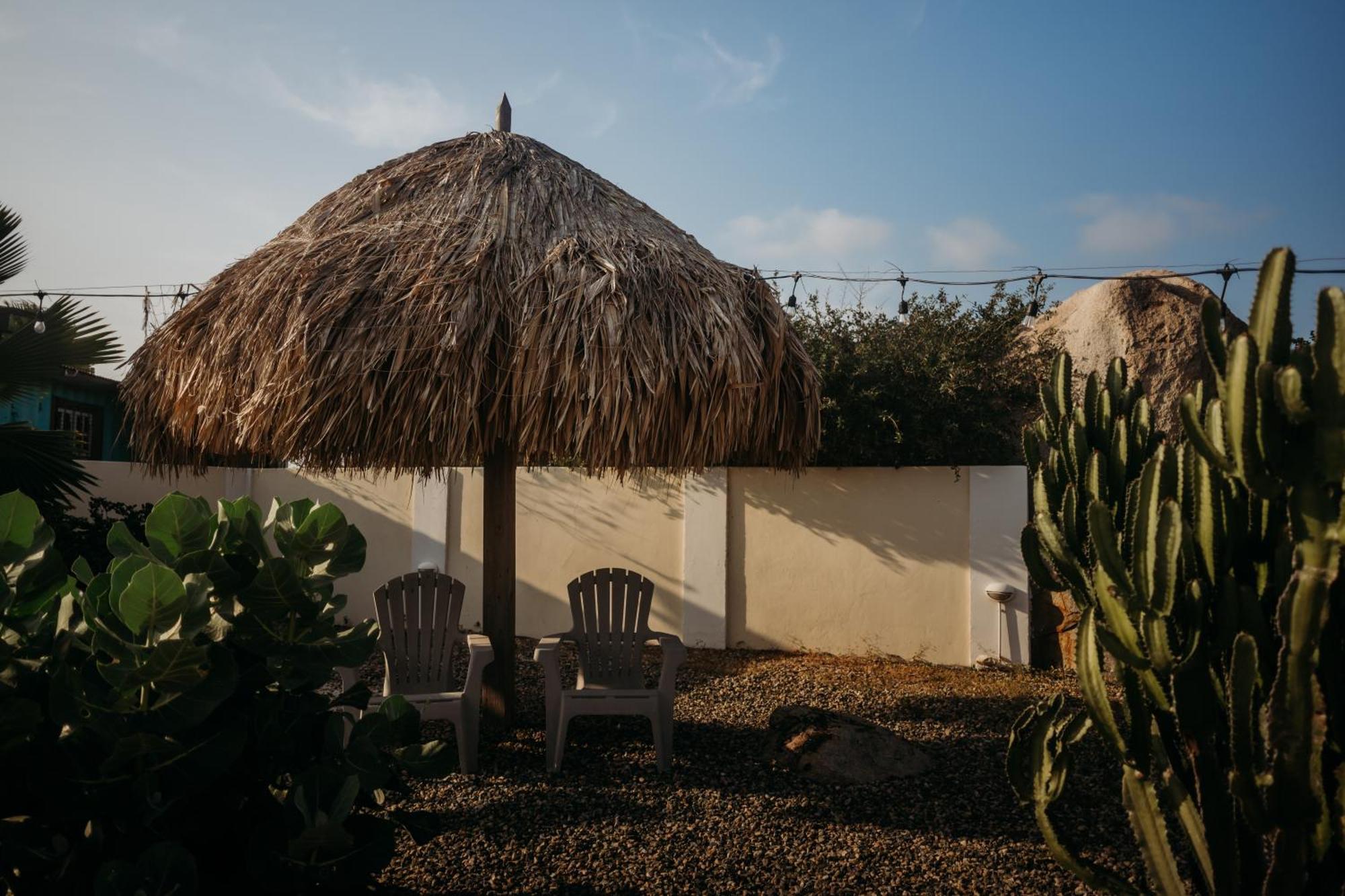 Pura Vida Aruba Appartement Palma Noord Extérieur photo