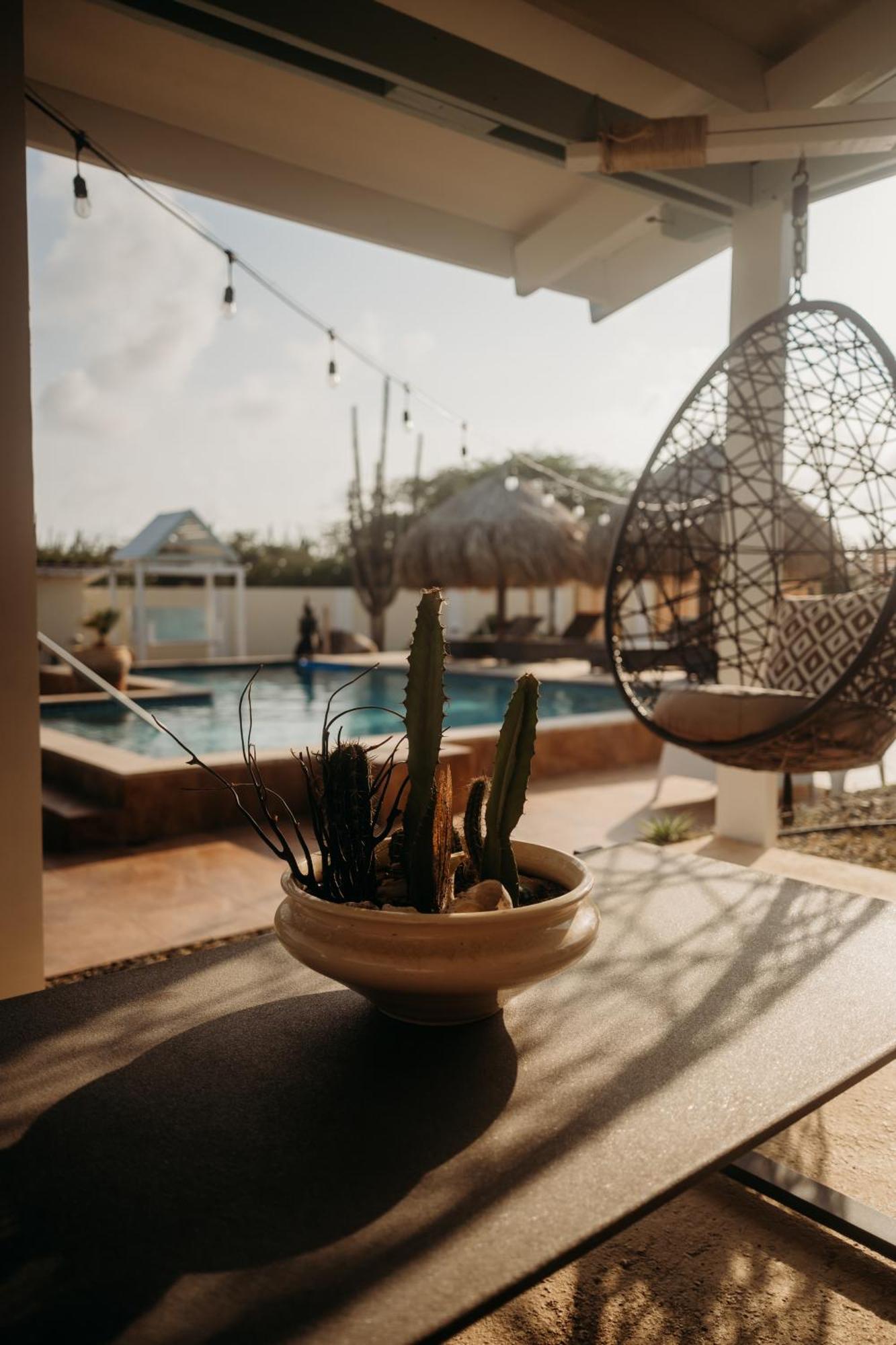 Pura Vida Aruba Appartement Palma Noord Extérieur photo