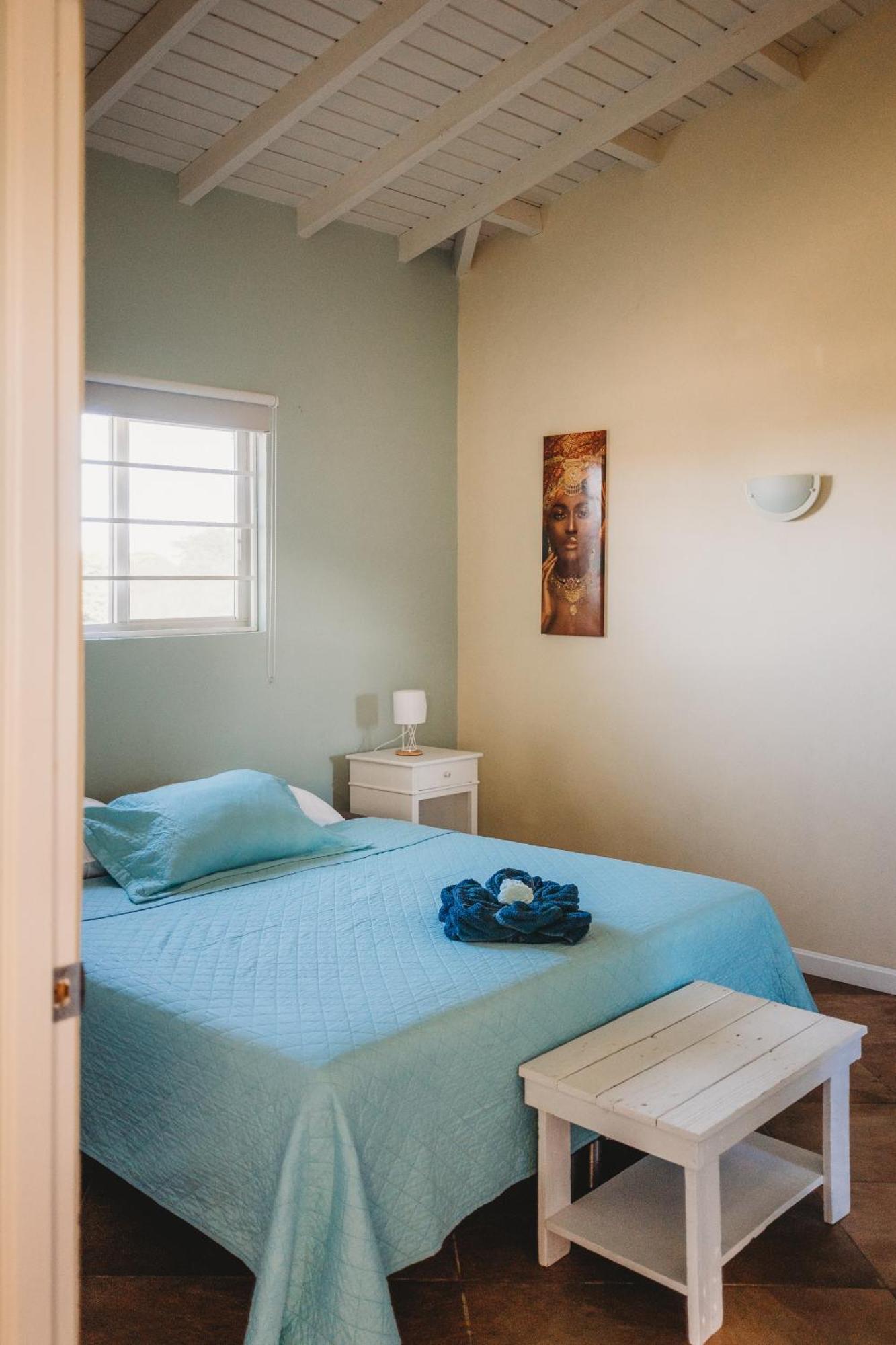 Pura Vida Aruba Appartement Palma Noord Extérieur photo
