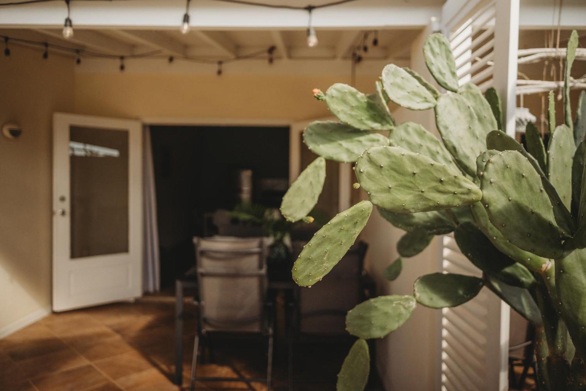 Pura Vida Aruba Appartement Palma Noord Extérieur photo